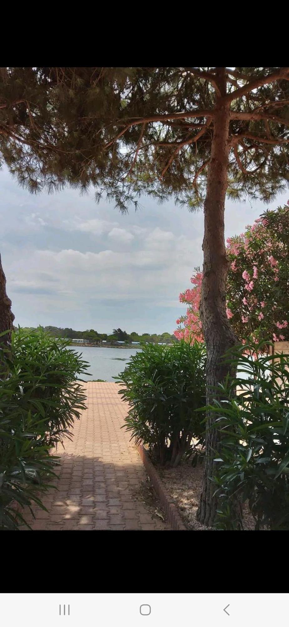 Villa 6P Piscine Spa Privatif Wifi Proche Des Plages Le Barcares Exterior photo